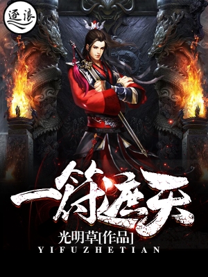 ���龯̽������������