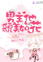 ������ò���绨