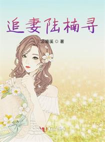 追妻陆楠寻
