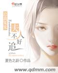 总裁笨笨:夫人不好追