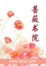 我不要再当圣女了