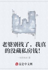 老婆别找了,我真的没藏私房钱!