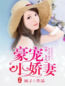 第一夫人,豪宠小娇妻
