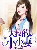 大叔的小小妻