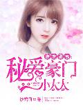 夜撩甜妻:秘爱豪门小太太